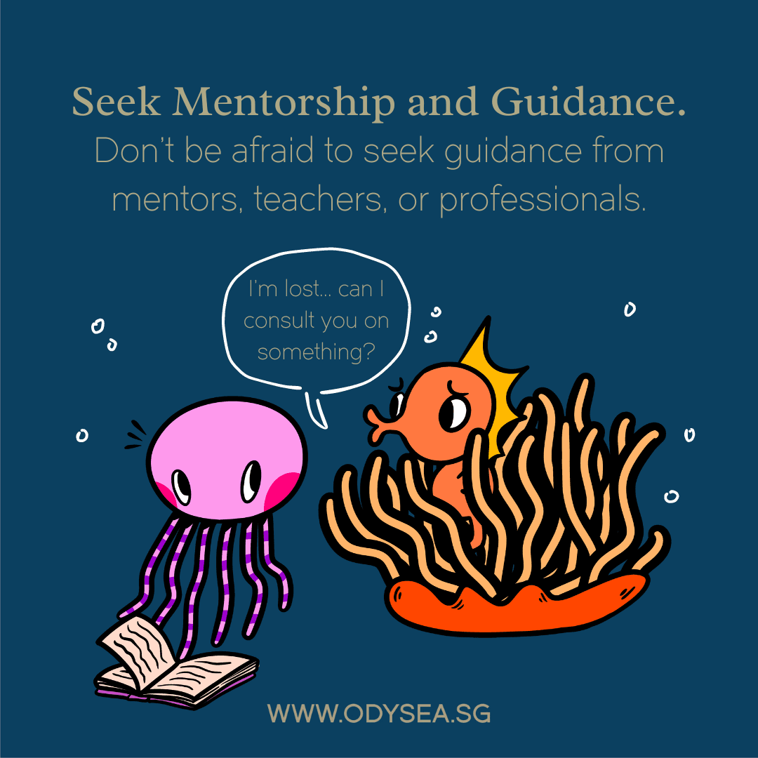 seek mentorship and guidance